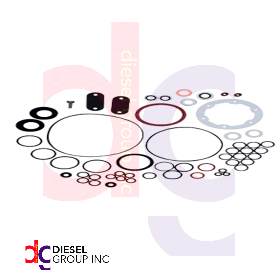 varios-2 24371 KIT JUEGO DE JUNTAS DE BOMBA DIESEL STANADYNE - Image 1